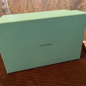Brand New Tiffanys Piggy Bank